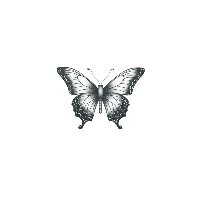 Black White Butterfly Temporary Tattoo - Image 2