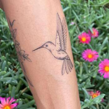 Hummingbird Fine Line Temporary Tattoo