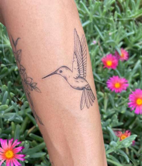 Hummingbird Fine Line Temporary Tattoo