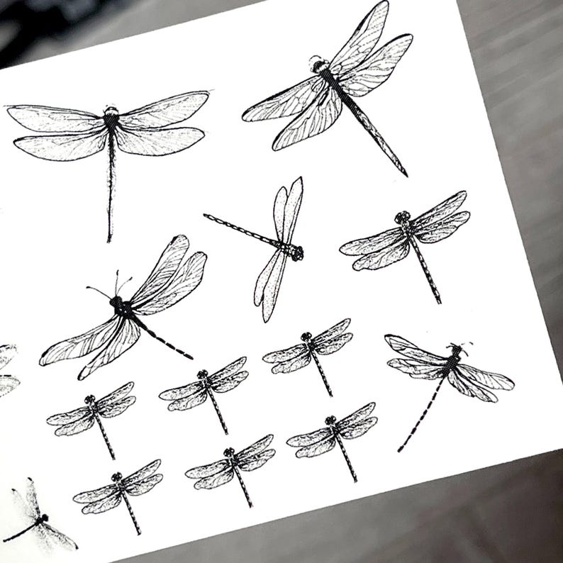 Dragonfly Temporary Tattoo - Image 3