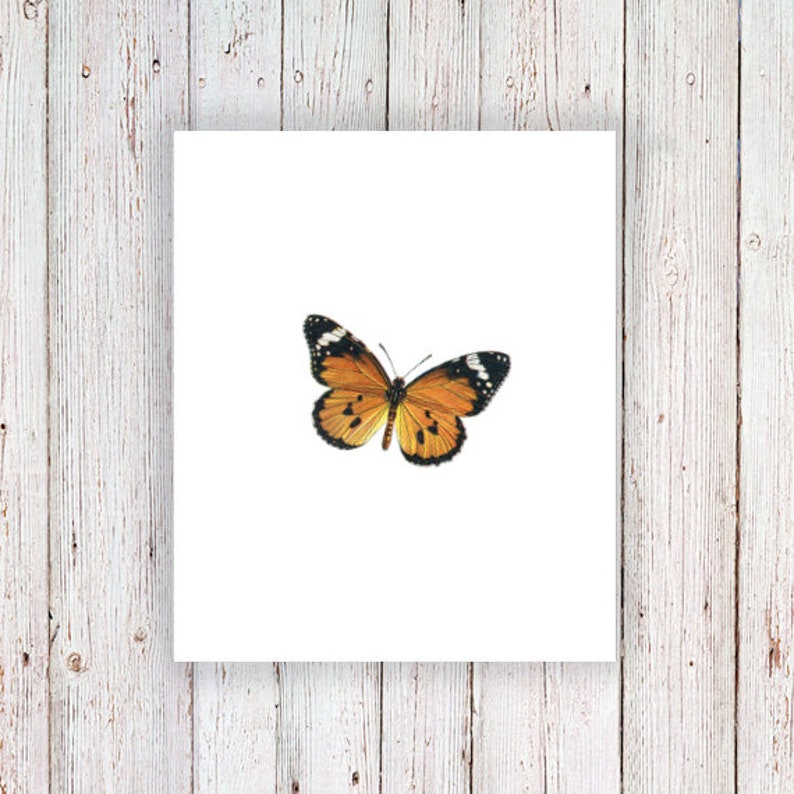 Orange butterfly temporary tattoo - Image 2